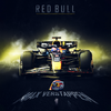 Toile F1 Max Verstappen