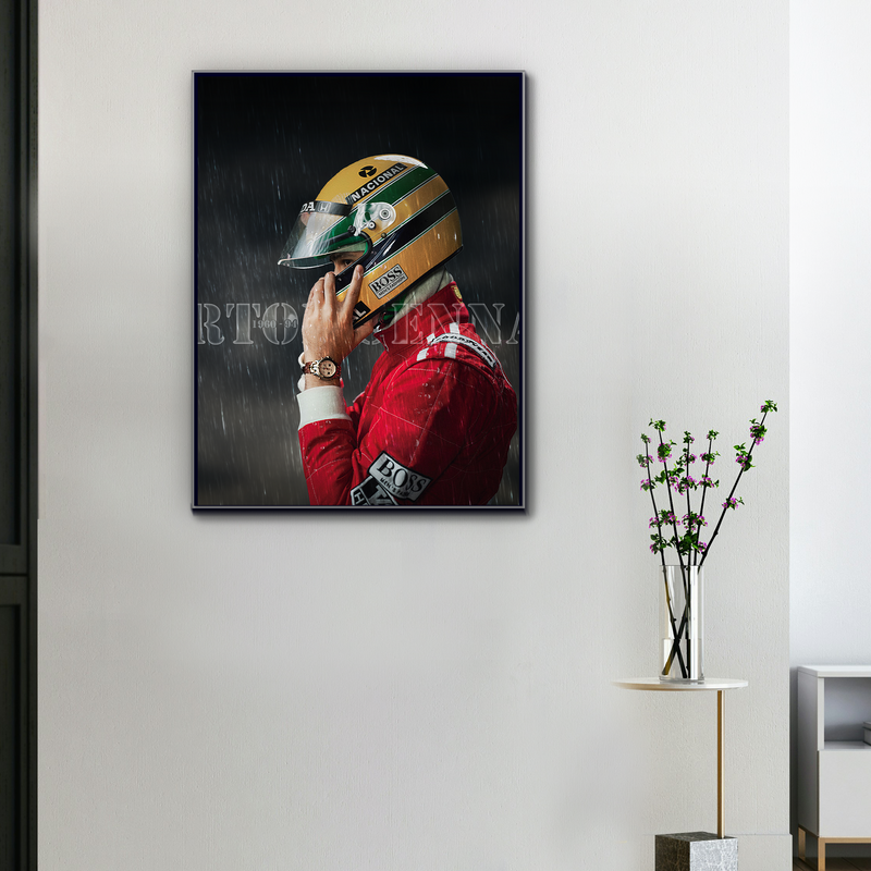 Toile F1 Dans la Tête d’Ayrton Senna, vue 1