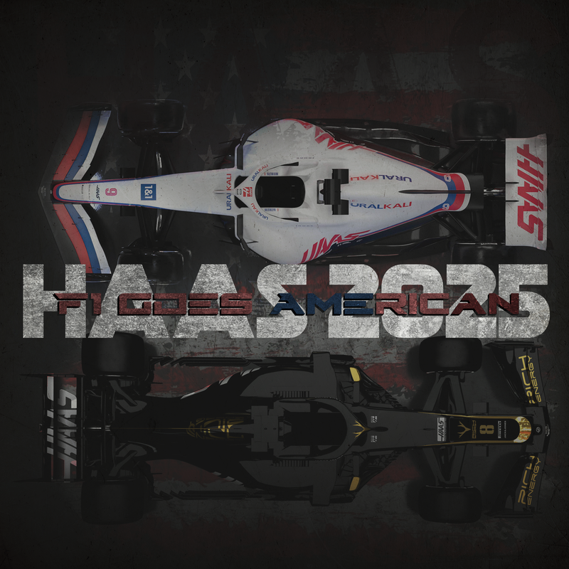 Toile F1 Haas L’Amérique En Ligne Droite, vue 2